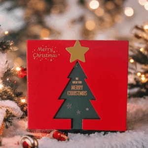 Coffret de Noël : Soin Cheveux & Lèvres au Naturel